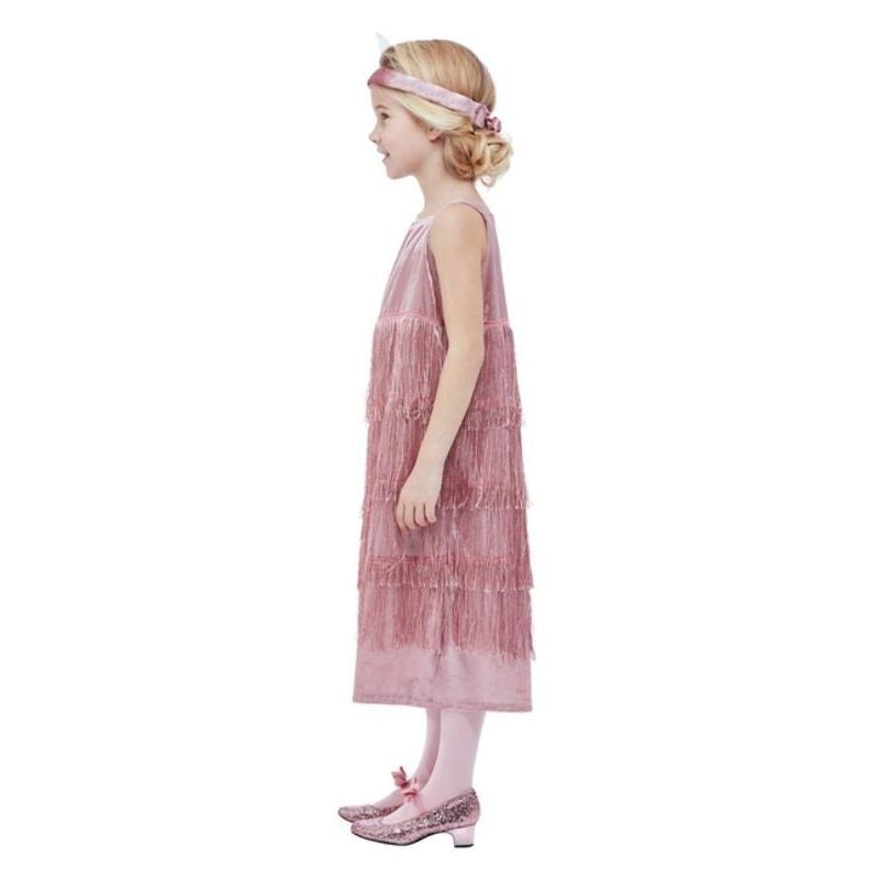 Costumes Australia 20s Pink Flapper Costume_2