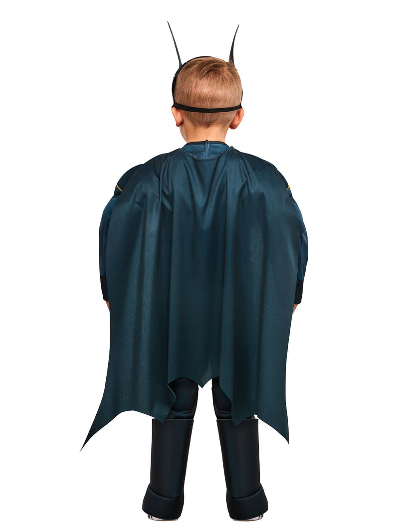 Batman Dc Super Pets Costume