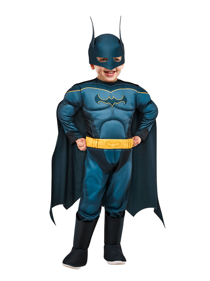 Batman Dc Super Pets Costume