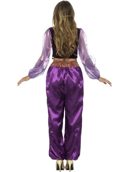 Costumes Australia Arabian Princess Jasmine Costume Adult Purple Trousers Top Veil_3