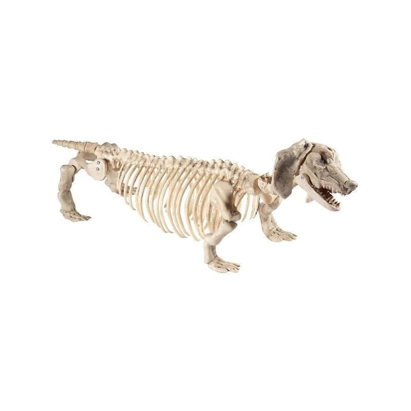 Costumes Australia Size Chart Dachshund Dog Skeleton Prop Natural 51cm by 14cm by 17cm