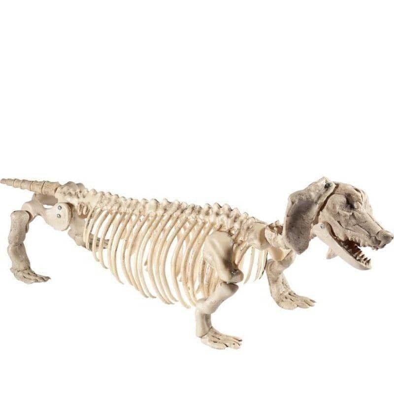 Costumes Australia Dachshund Dog Skeleton Prop Natural 51cm by 14cm by 17cm_1