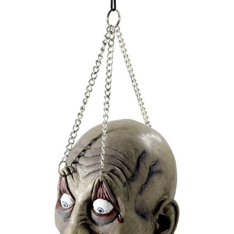 Costumes Australia Dismembered Head Adult Grey_1