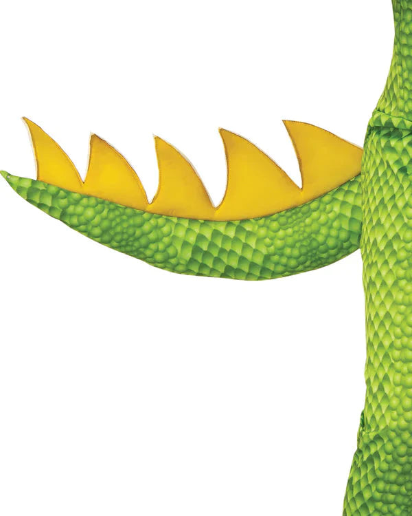 Costumes Australia Dragon Green Child Costume 3D Mask and Scales_5