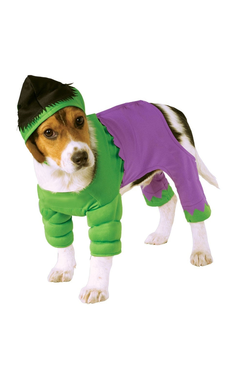 Costumes Australia Incredible Hulk Pet Costume_1