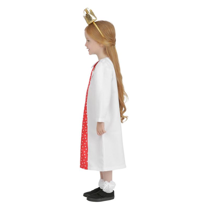 Costumes Australia Julia Donaldson Zog Princess Pearl Costume Child_3