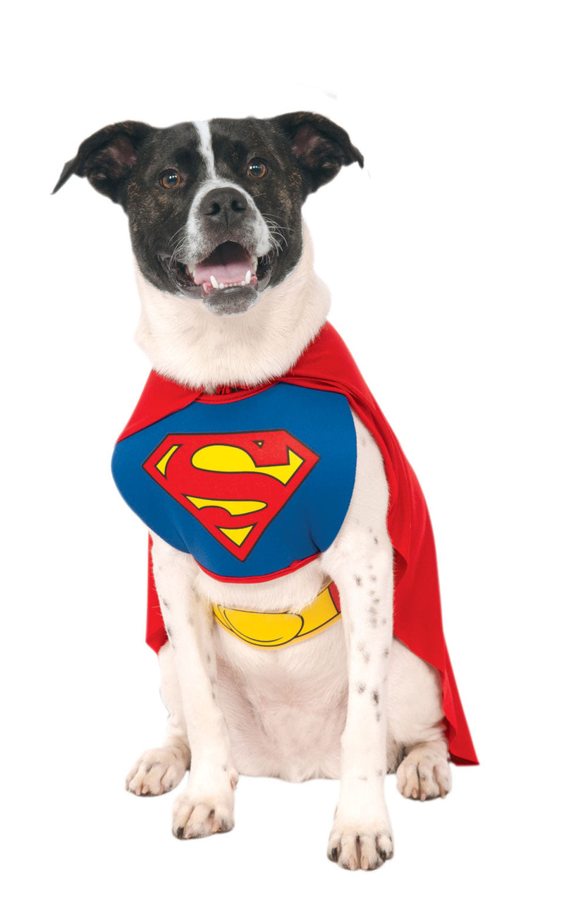 Costumes Australia Superman Dog Costume_2
