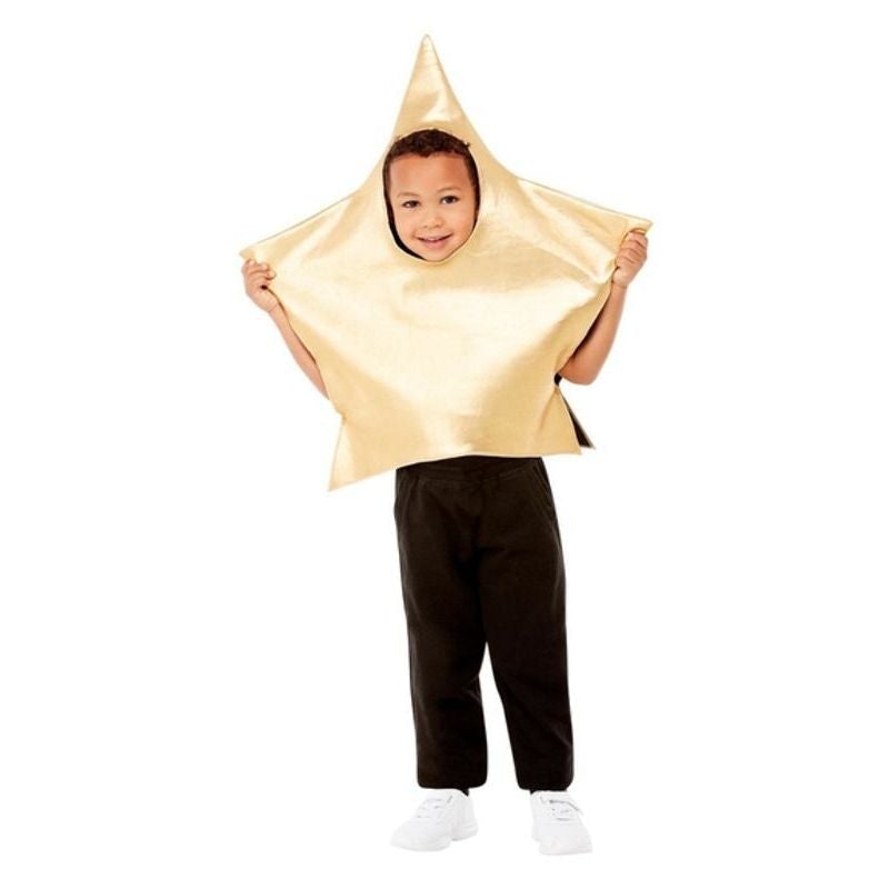 Costumes Australia Toddler Shining Star Costume Gold All In One_1