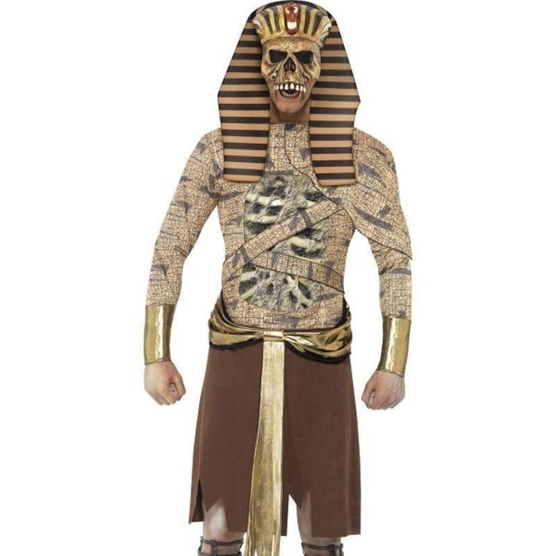 Costumes Australia Zombie Pharaoh Adult Tabard Gold_1