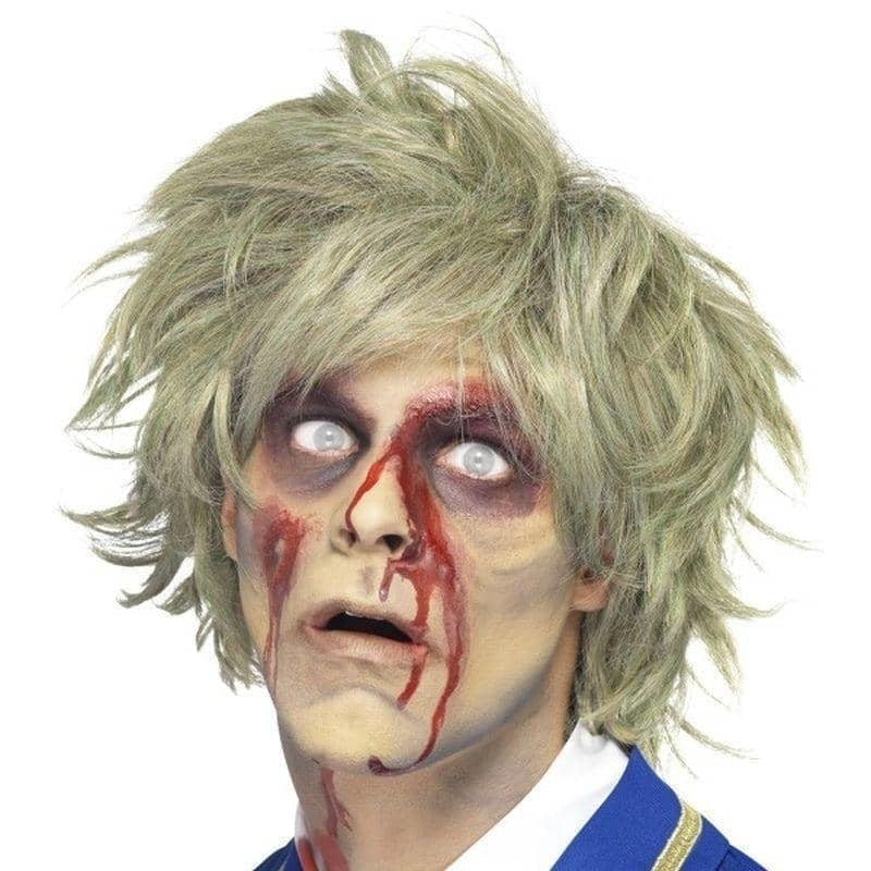 Costumes Australia Zombie Wig Adult Grey_1